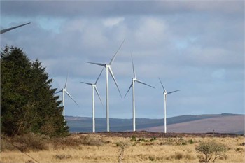 Grid Constraints Reduce Wind Energy's Share of Electricity Supply
